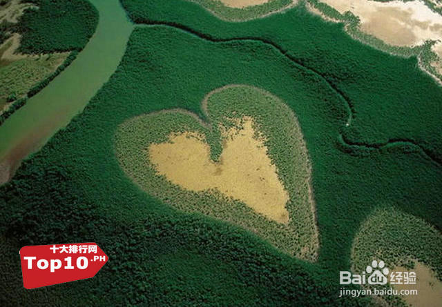 盘点十大奇葩有趣的心形物体