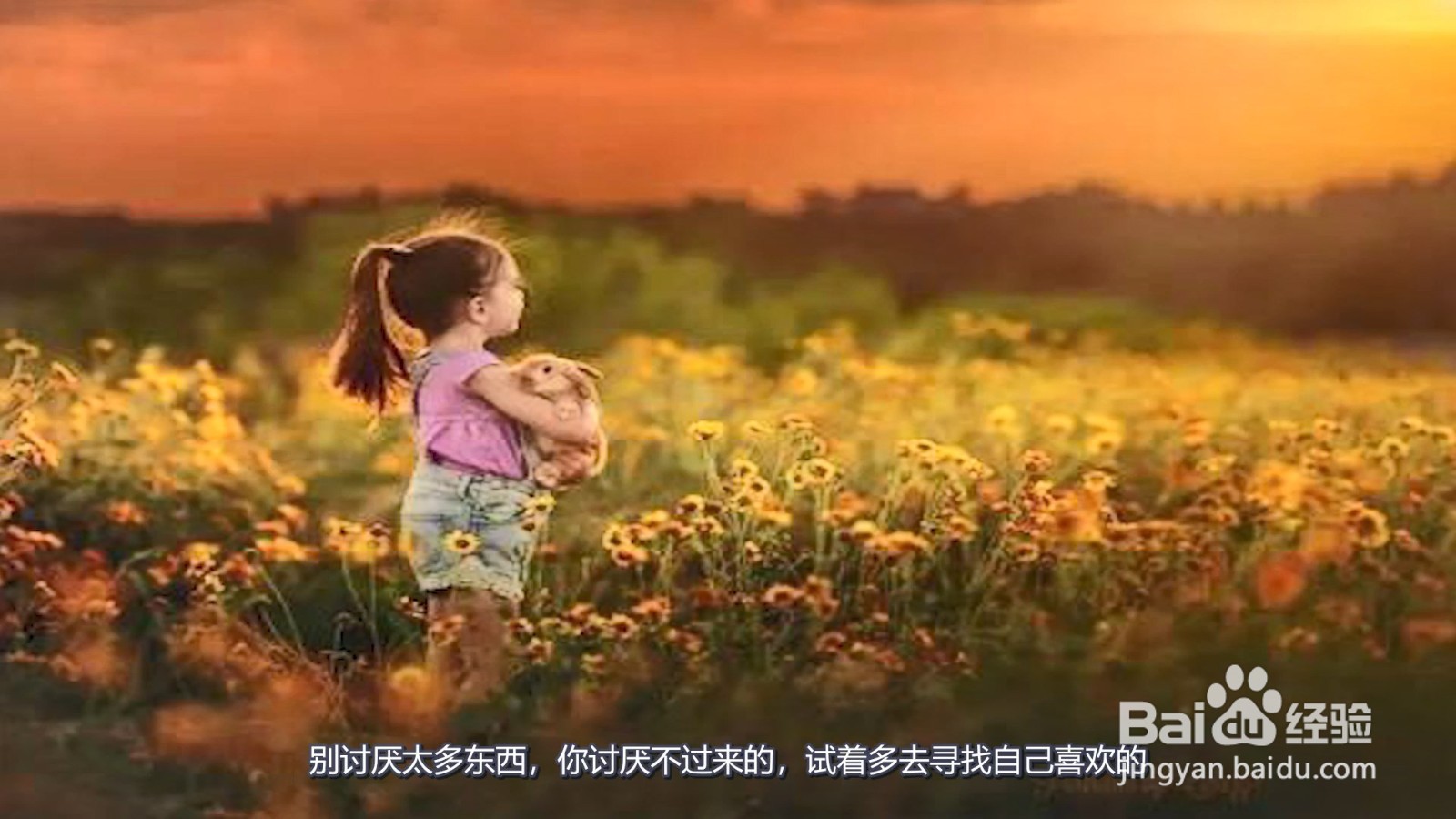 超级短的暖人心的句子