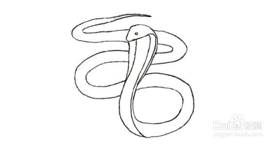 蛇头怎么画绘画图片
