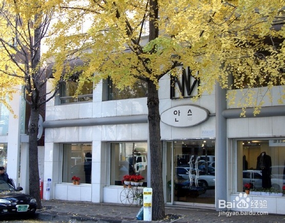 3月份适合去哪里旅游 首尔明洞乐天免税店攻略