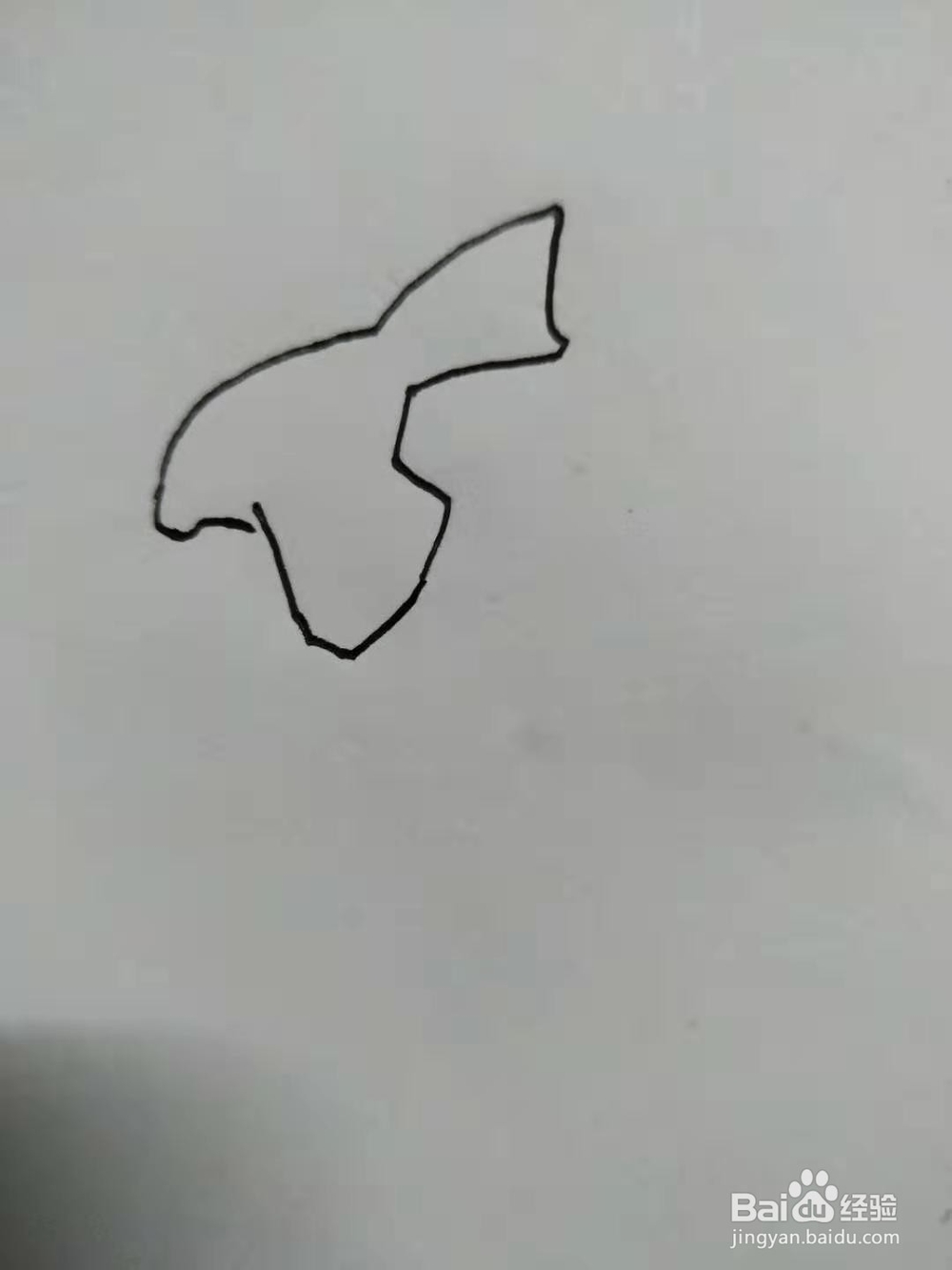 《口袋妖怪》古空棘鱼手绘怎么画？