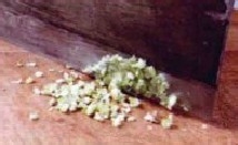 家常菜：五香熏马哈鱼怎么做?