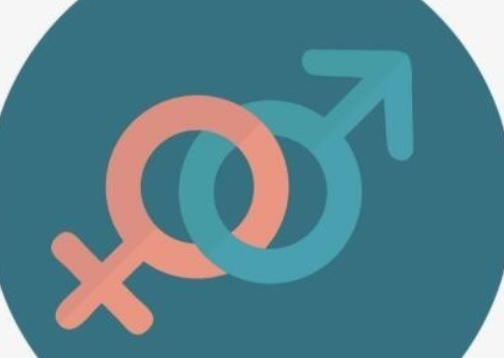 性别是个分类变量是什么