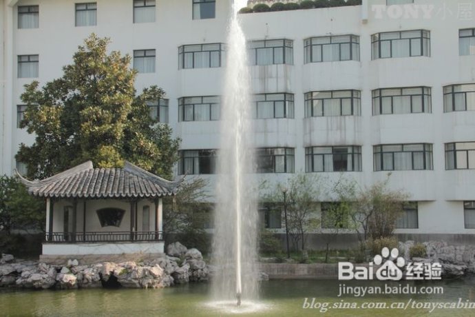 去美丽的苏州寻找那些“甜糯糯”的美食