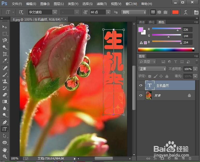 给文字添加红色黑边和光泽样式