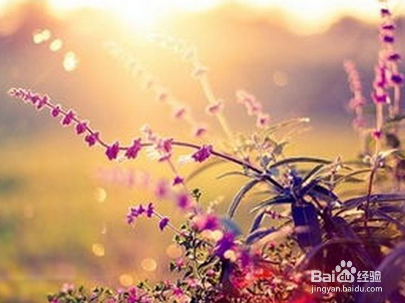 失恋了，怎么正确面对