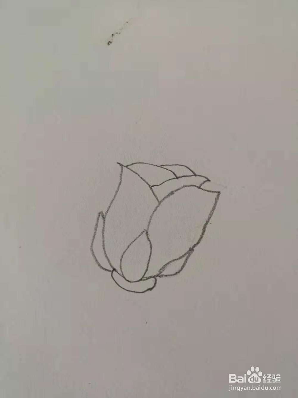 如何画玫瑰花简笔画