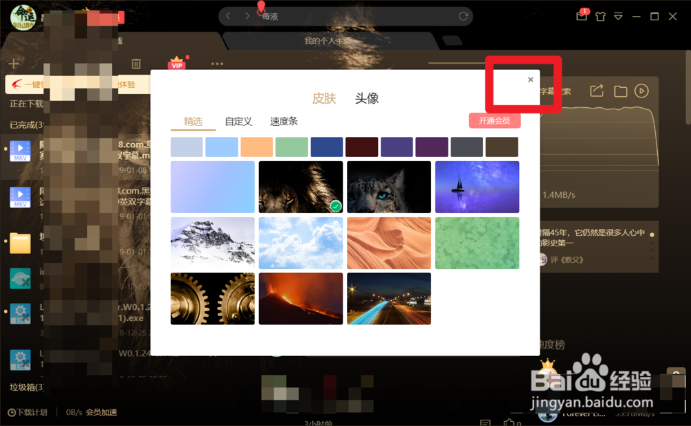 如何对迅雷下载软件进行皮肤设置