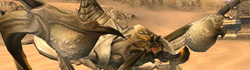 国服剑灵进入大漠前的注意要点