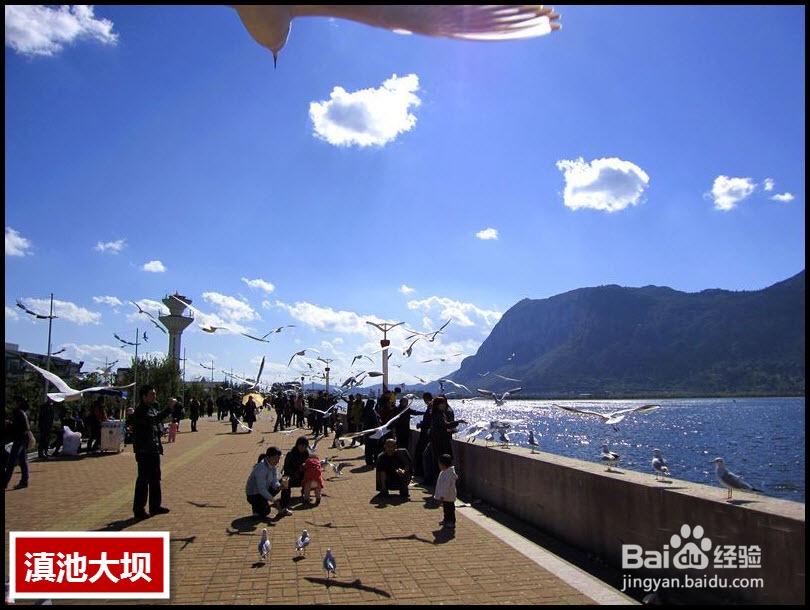 魅力大理、艳遇丽江、人间仙境香格里拉功略