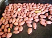 烤制原味花生米