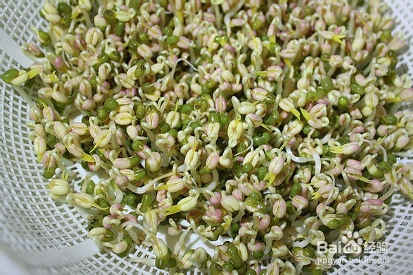 凉拌自发绿豆芽