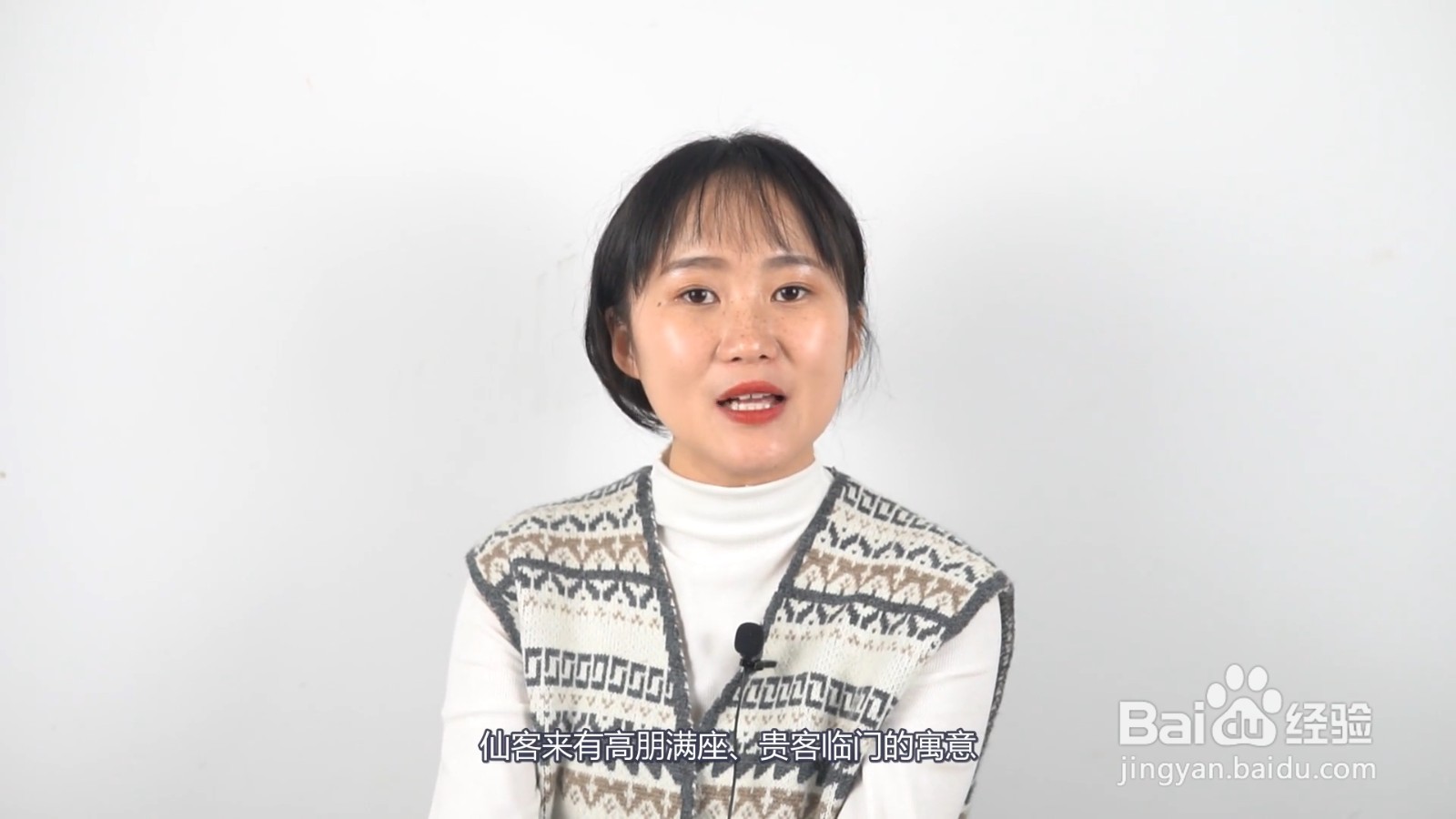 适合客厅养的植物