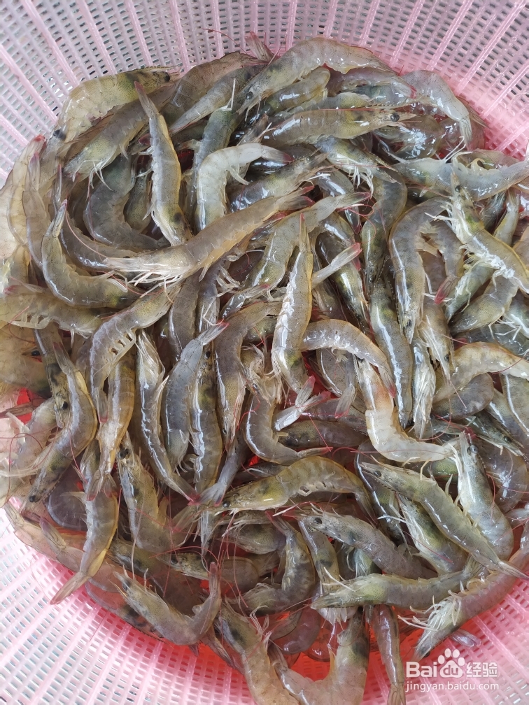 又酥又香的酱香虾干