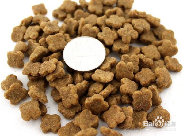 猫粮和狗粮有什么区别