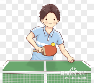 学打乒乓球的基本动作有哪些