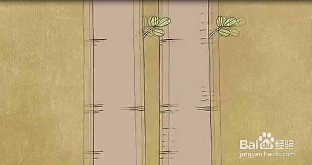 重症肌无力早期症状包括哪些？