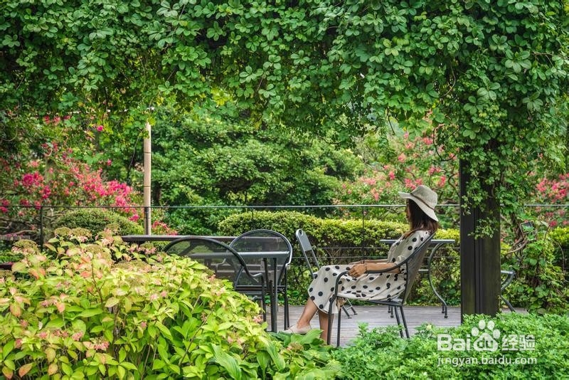 大学生游韩国简易攻略31