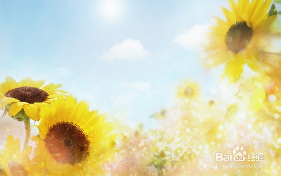 【办公室里的养生秘笈】养生堂