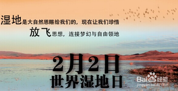 2020年2月有哪些节日