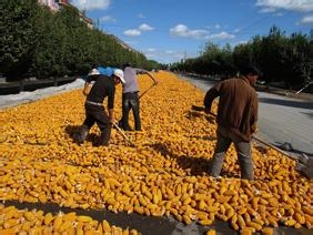 甘肃张掖旅游攻略必备知识