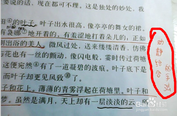 如何更好更高效的学习高中语文