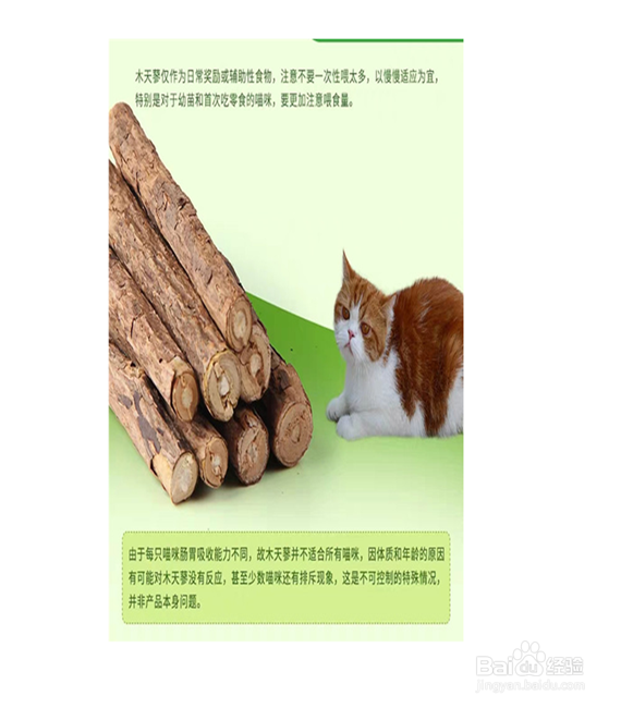 如何选购猫用磨牙啃咬棒