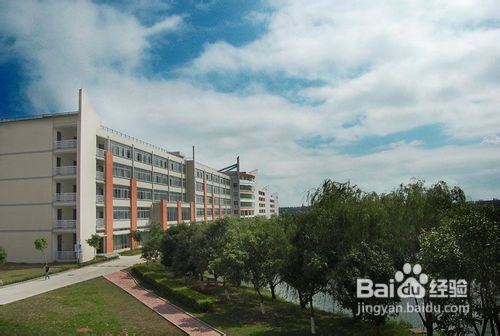 哪些大专毕业文凭不能报考成考的专升本