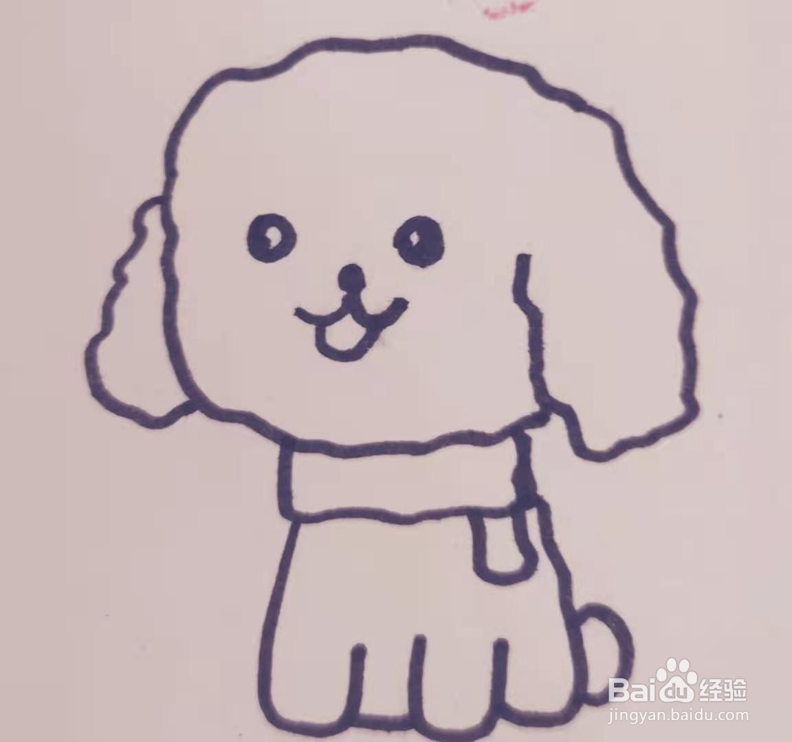 泰迪犬简笔画幼犬图片