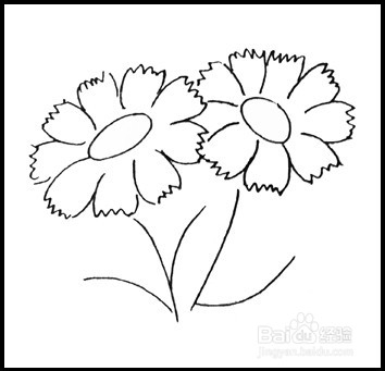 怎样画简笔画（花卉）：[8]菊花1