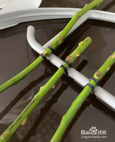 送的花怎么处理比较好？