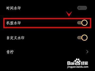 iqoo8如何关闭相机的机型水印功能呢