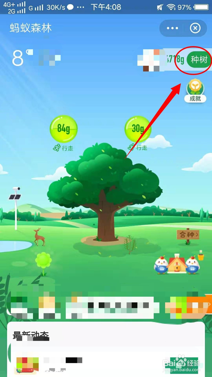 怎样在蚂蚁森林种树