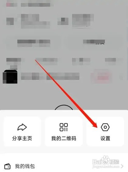 快手极速版开启保护如何操作