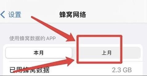 怎么看iphone上月已用蜂窝数据?