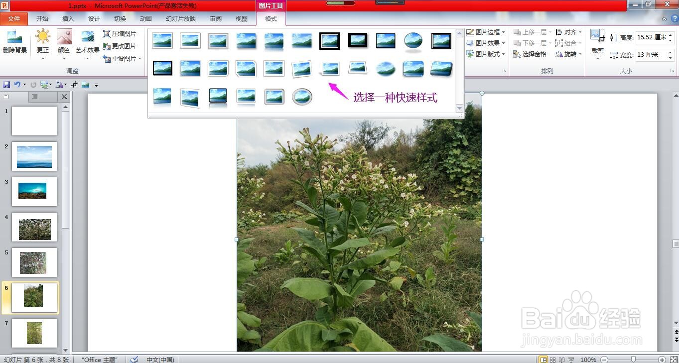 怎样使用PPT设置图片的样式