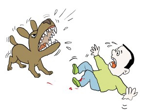 被宠物咬伤后的正确处理方式