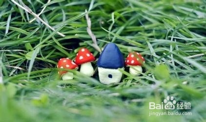 DIY迷你苔藓盆景 常绿小世界