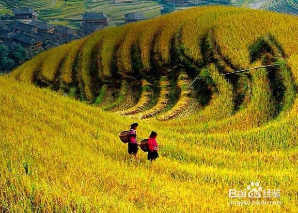 uc大鱼号自媒体怎么赚钱,大鱼号转正开收益技巧