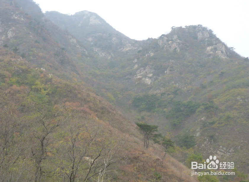 烟台旅游攻略 [2]莱山区著名景点及休闲娱乐
