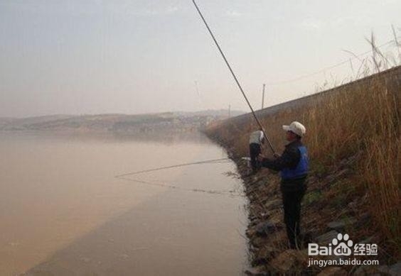 钓鱼的简单实用技巧
