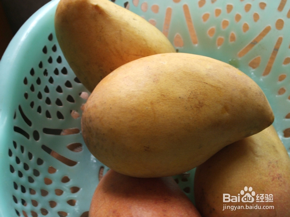 芒果季怎么选芒果--来自芒果之乡的香甜