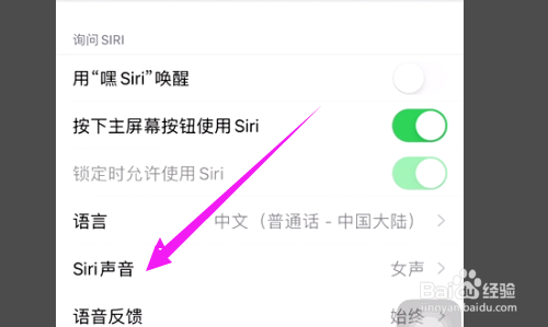 iphone12怎么将siri声音调节至男声