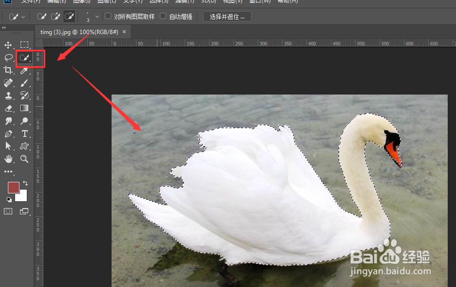 PS-如何快速制作动物模型轮廓
