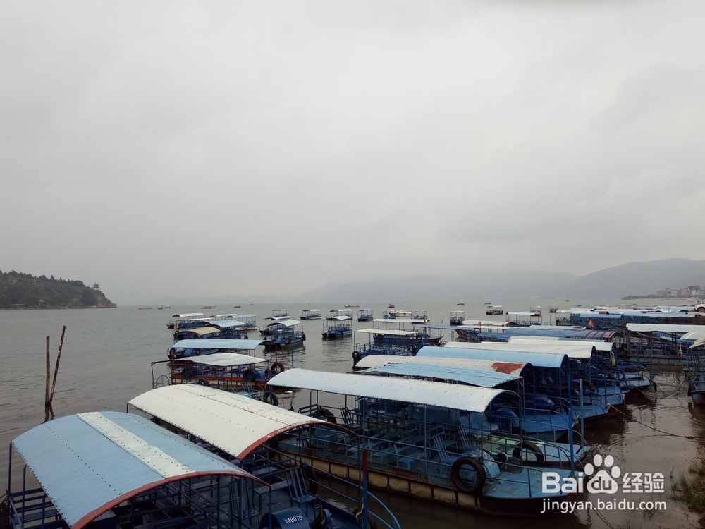 云南最美玉溪抚仙湖之樱花谷湿地公园情侣约会旅