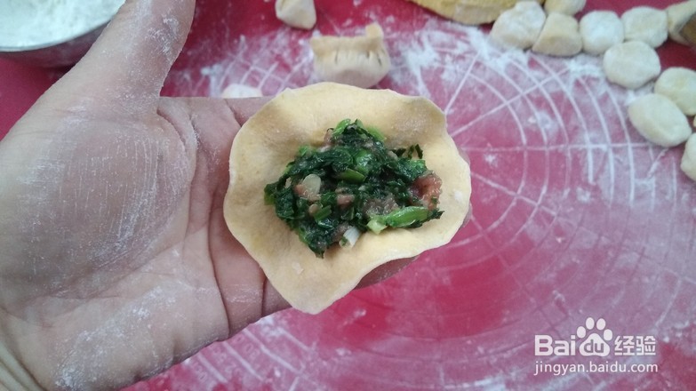 青菜南瓜饺子