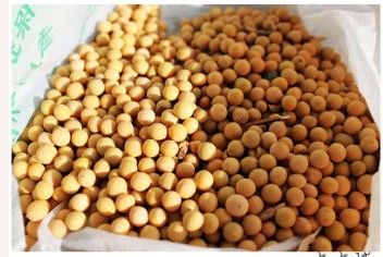 新年第一菜---黄豆芽炒粉