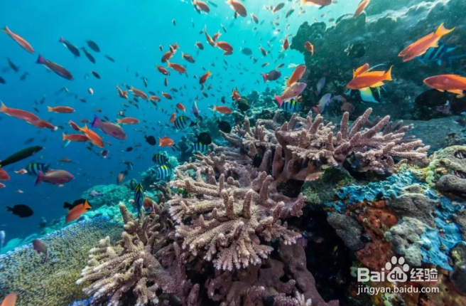 2018亚洲TOP10最佳旅行目的地，四川强势上榜！