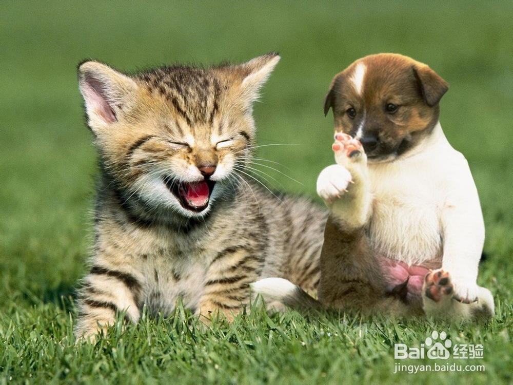 漂亮女王养成记 第一次约会的技巧