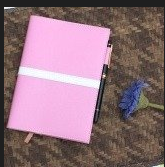 如何提高孩子的作文水平?